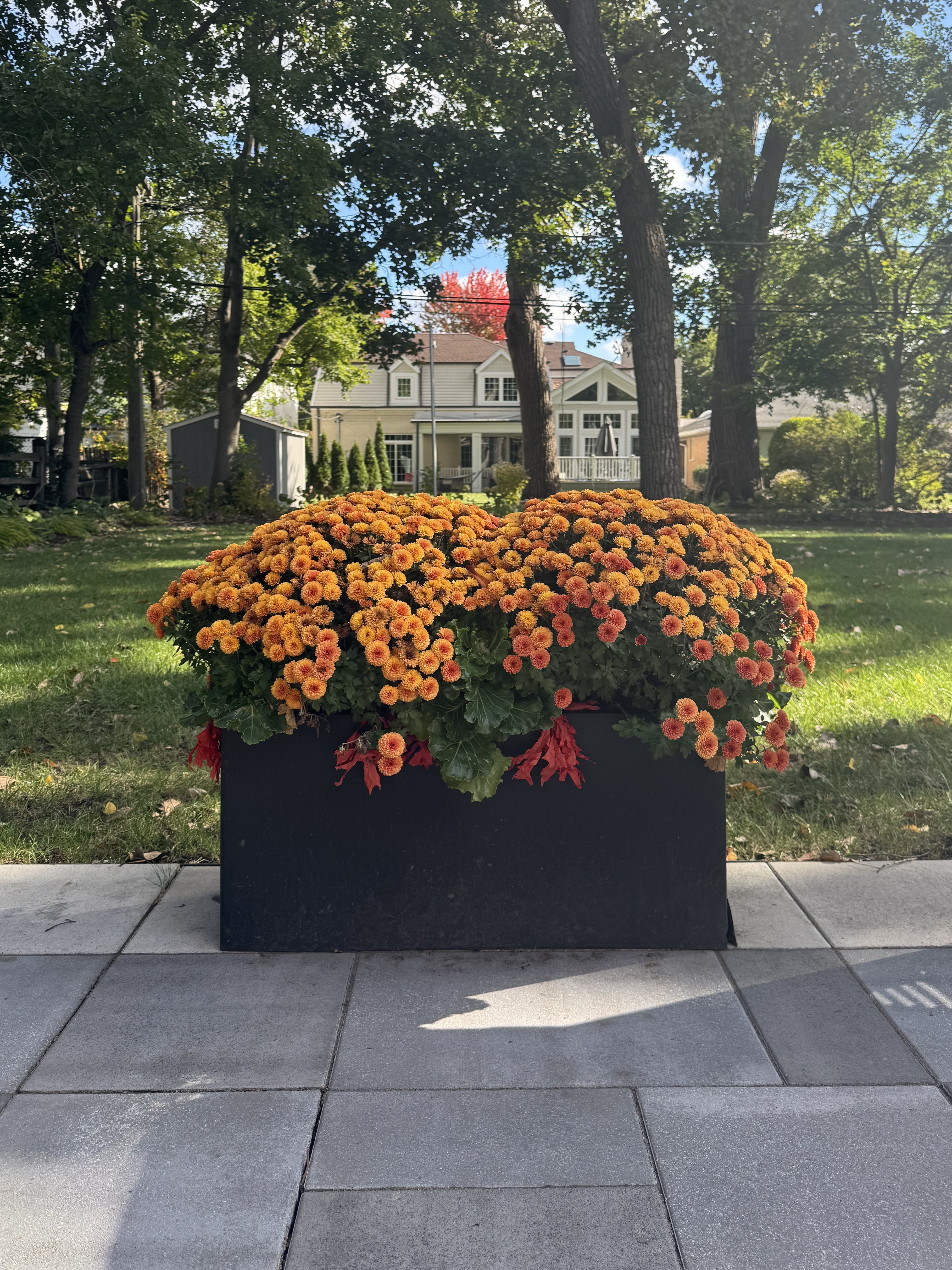 Fall seasonal container garden by Flower Fleurt