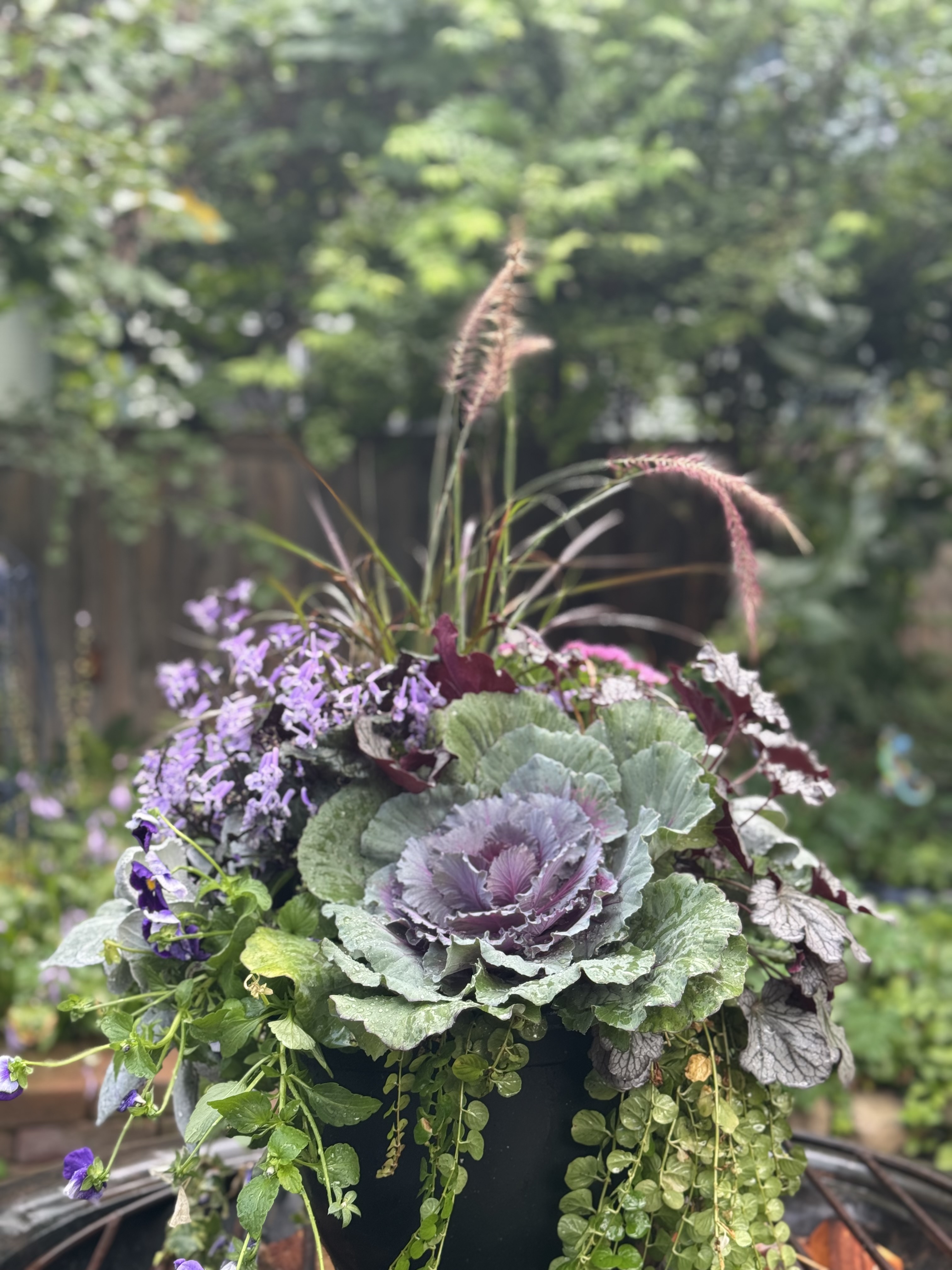 Fall container garden