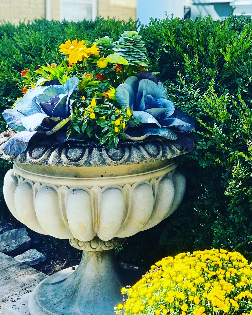 Fall container garden