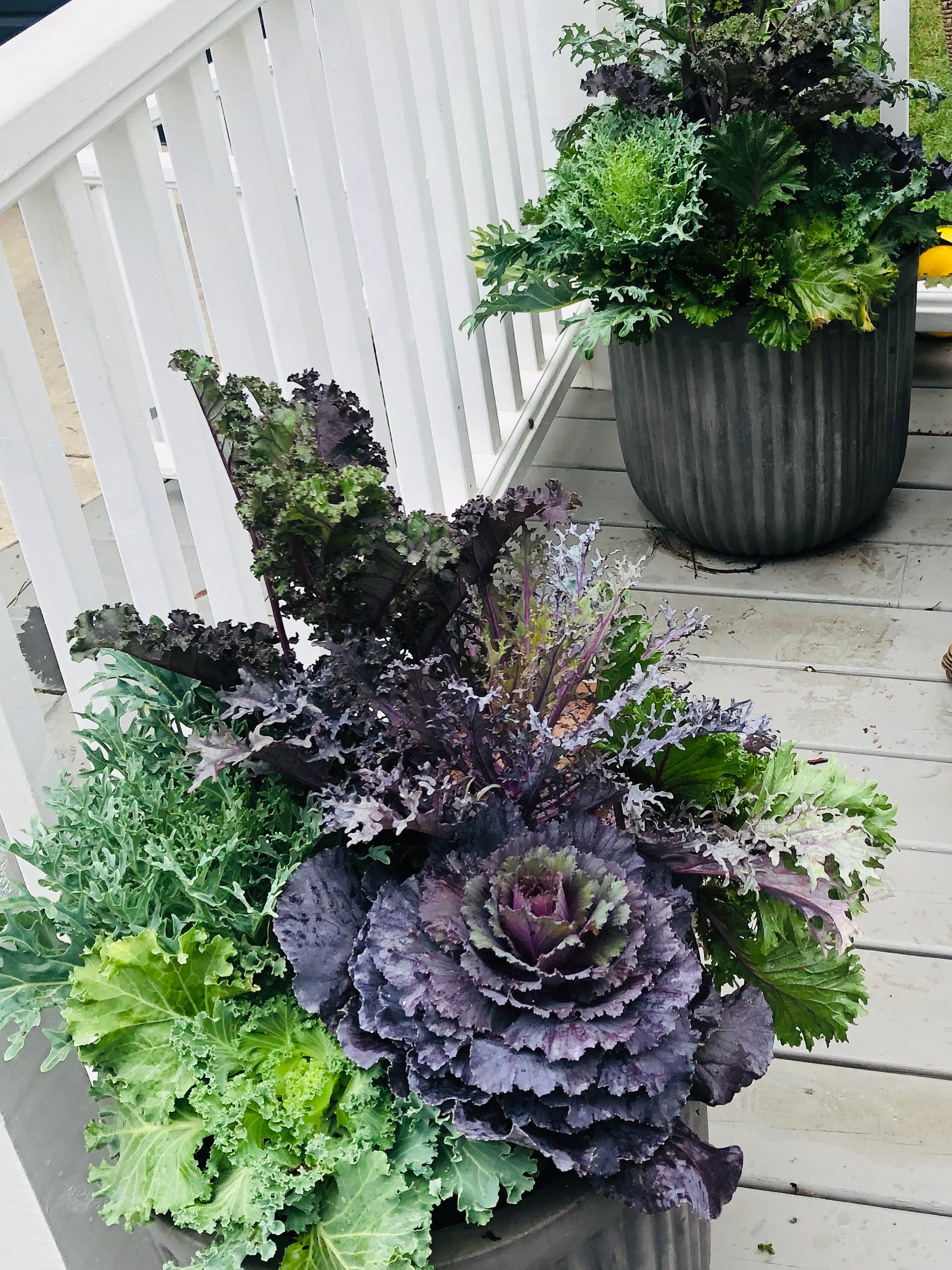 Fall porch planter with autumn mums
