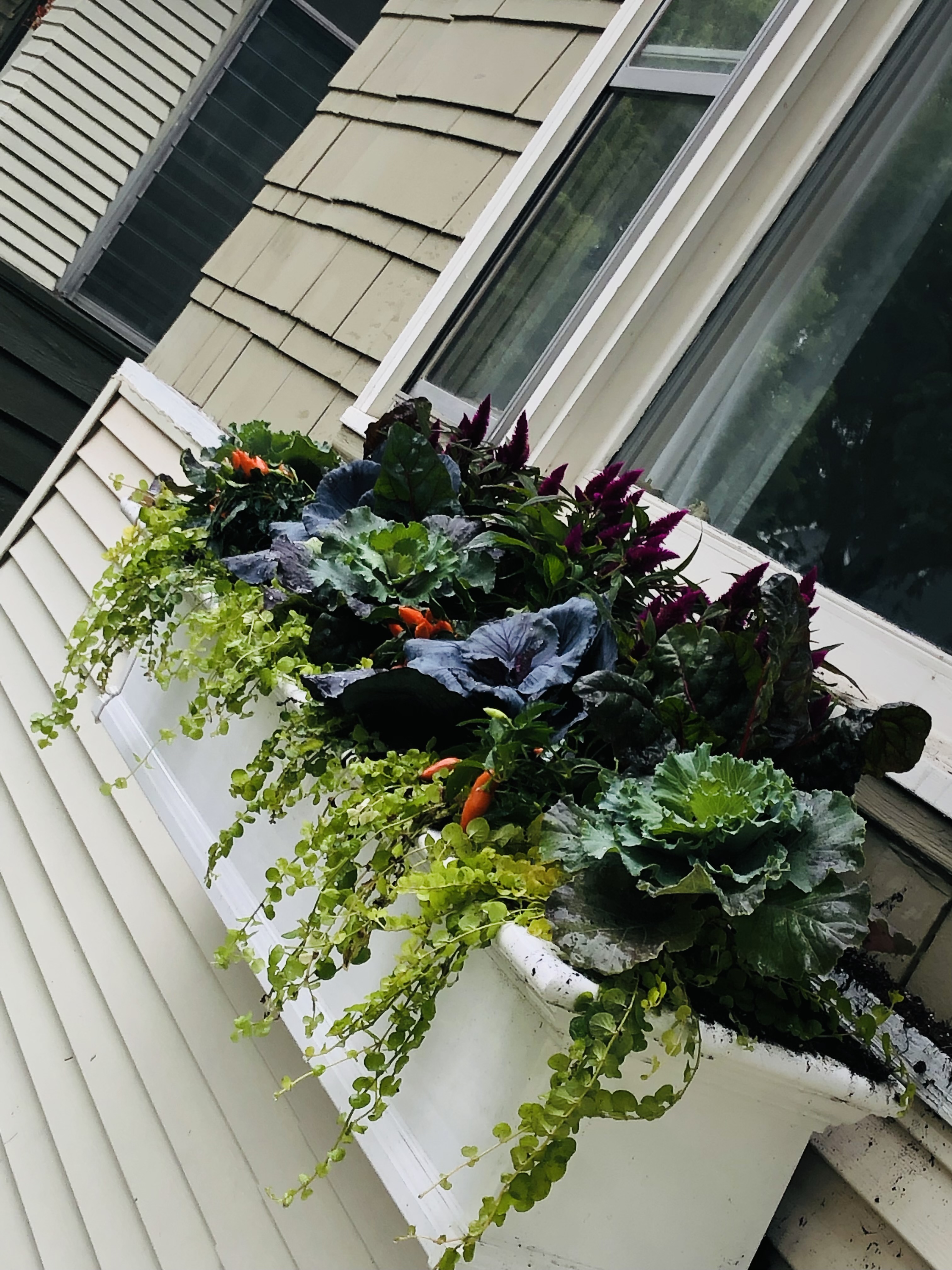 Fall seasonal arrangement