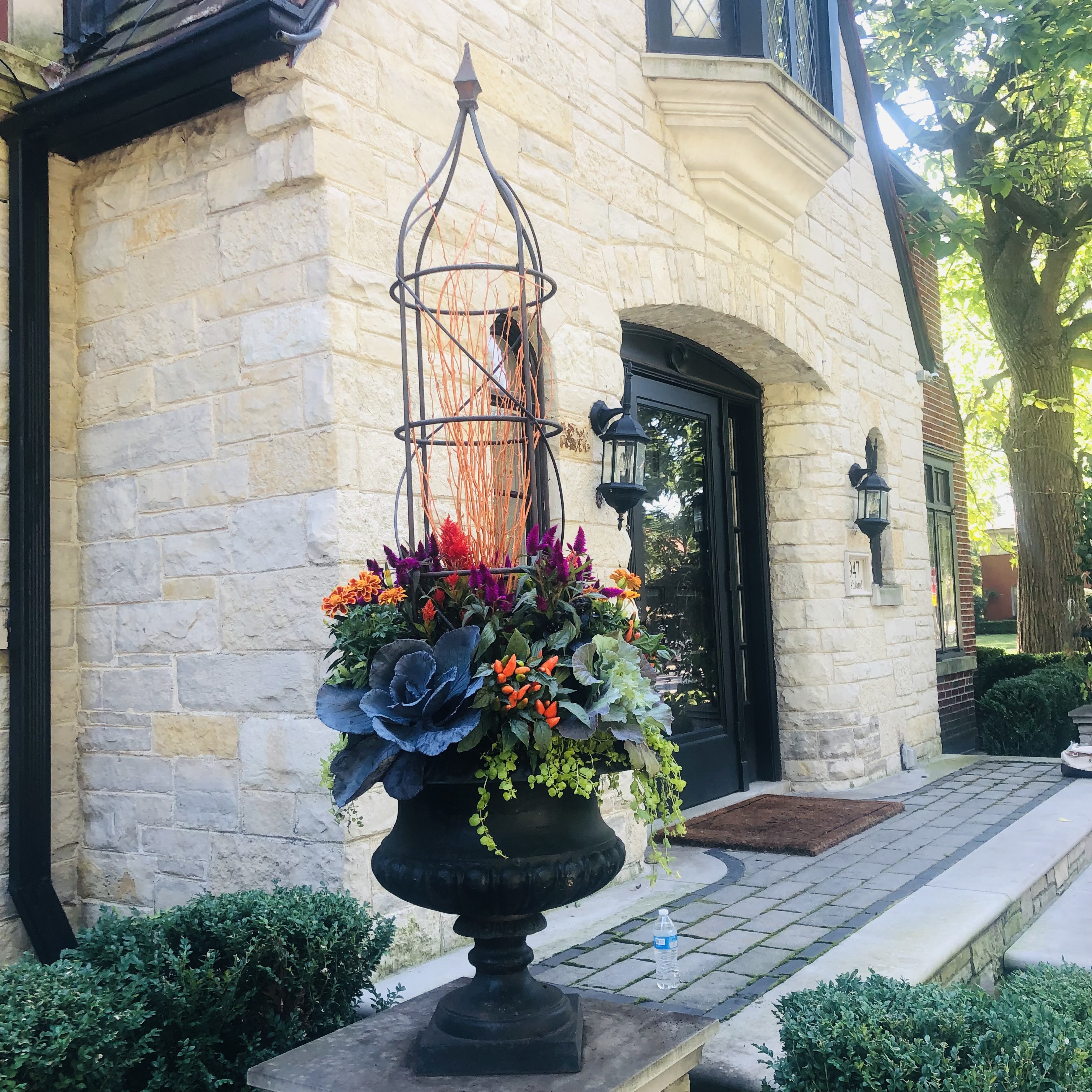 Fall container garden