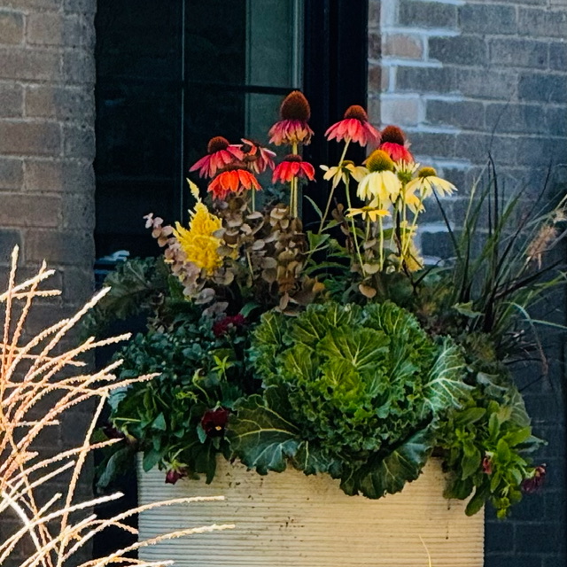 Fall seasonal planter