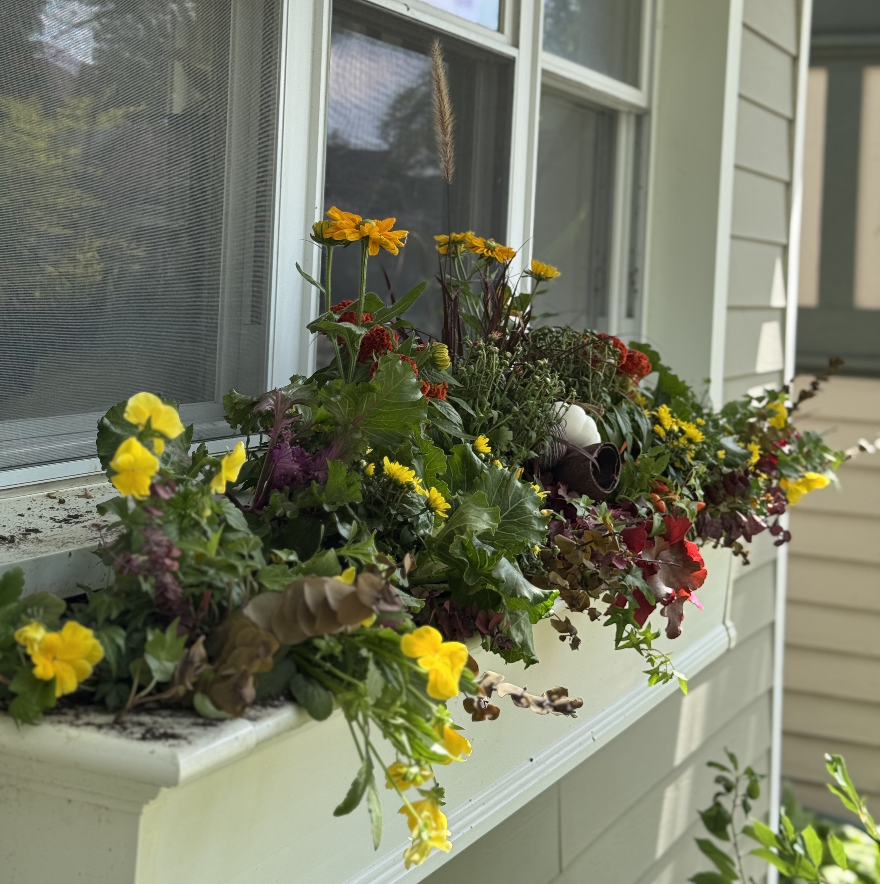 Fall seasonal design