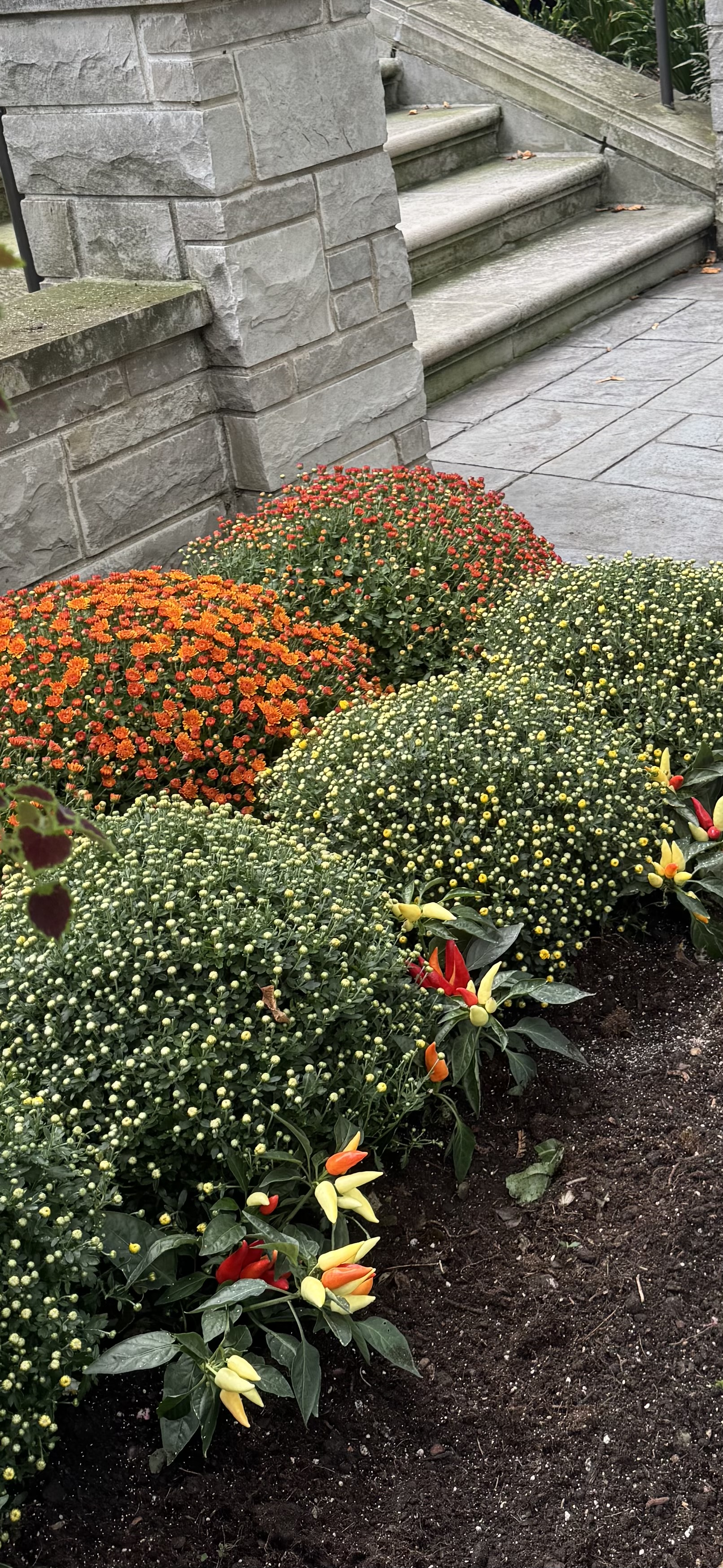 Garden bed floral installation