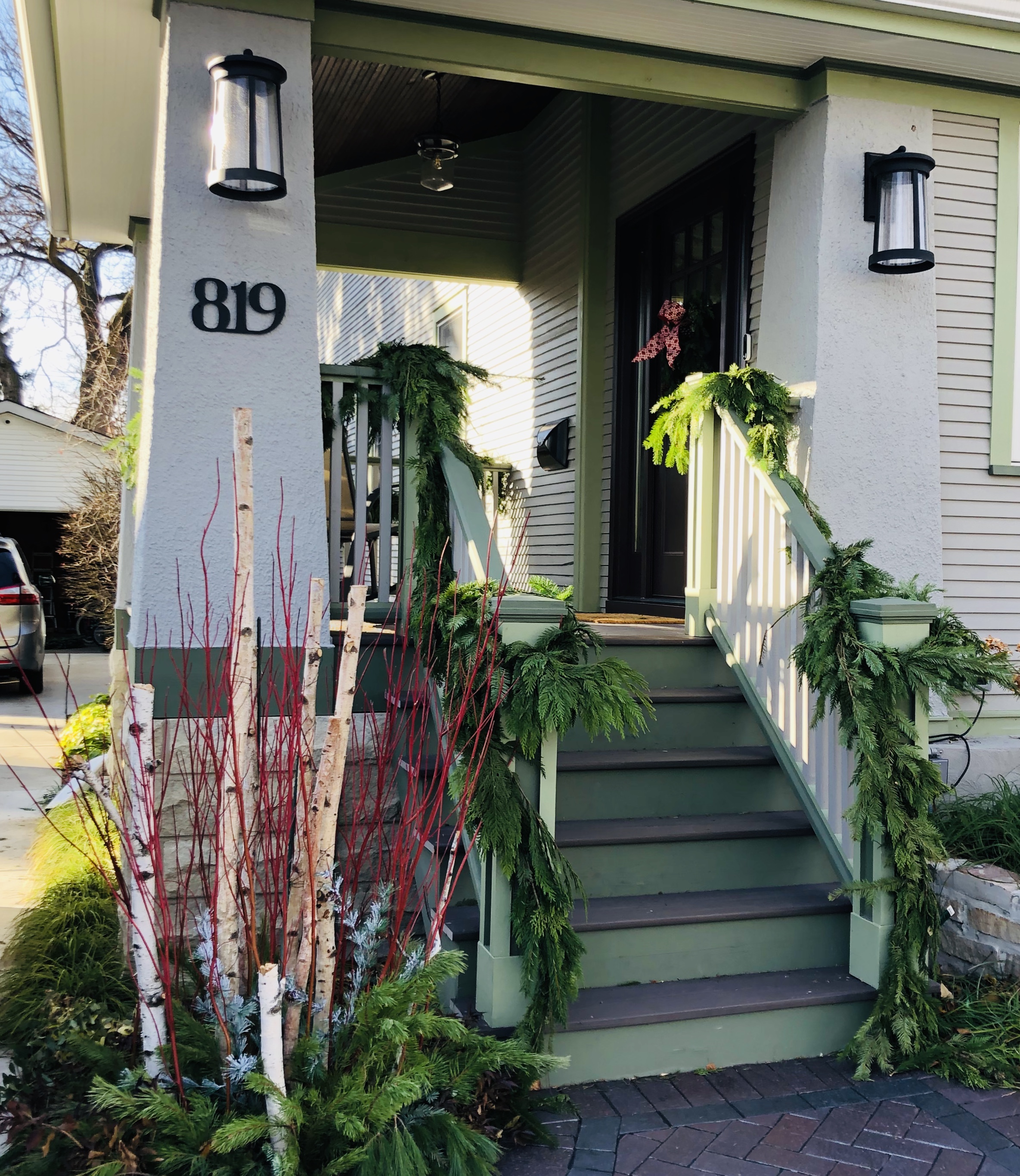 Garden bed with vibrant annuals