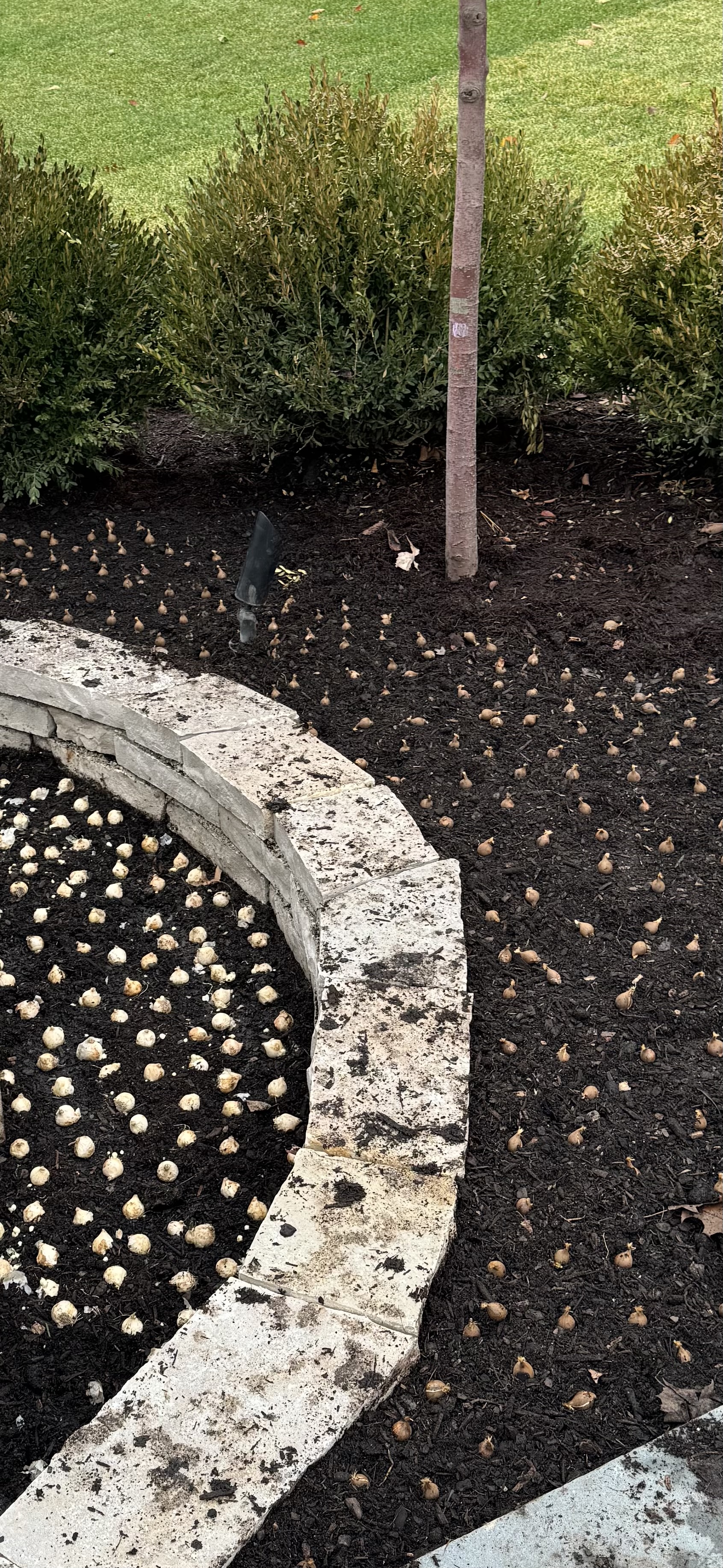 Landscape floral installation