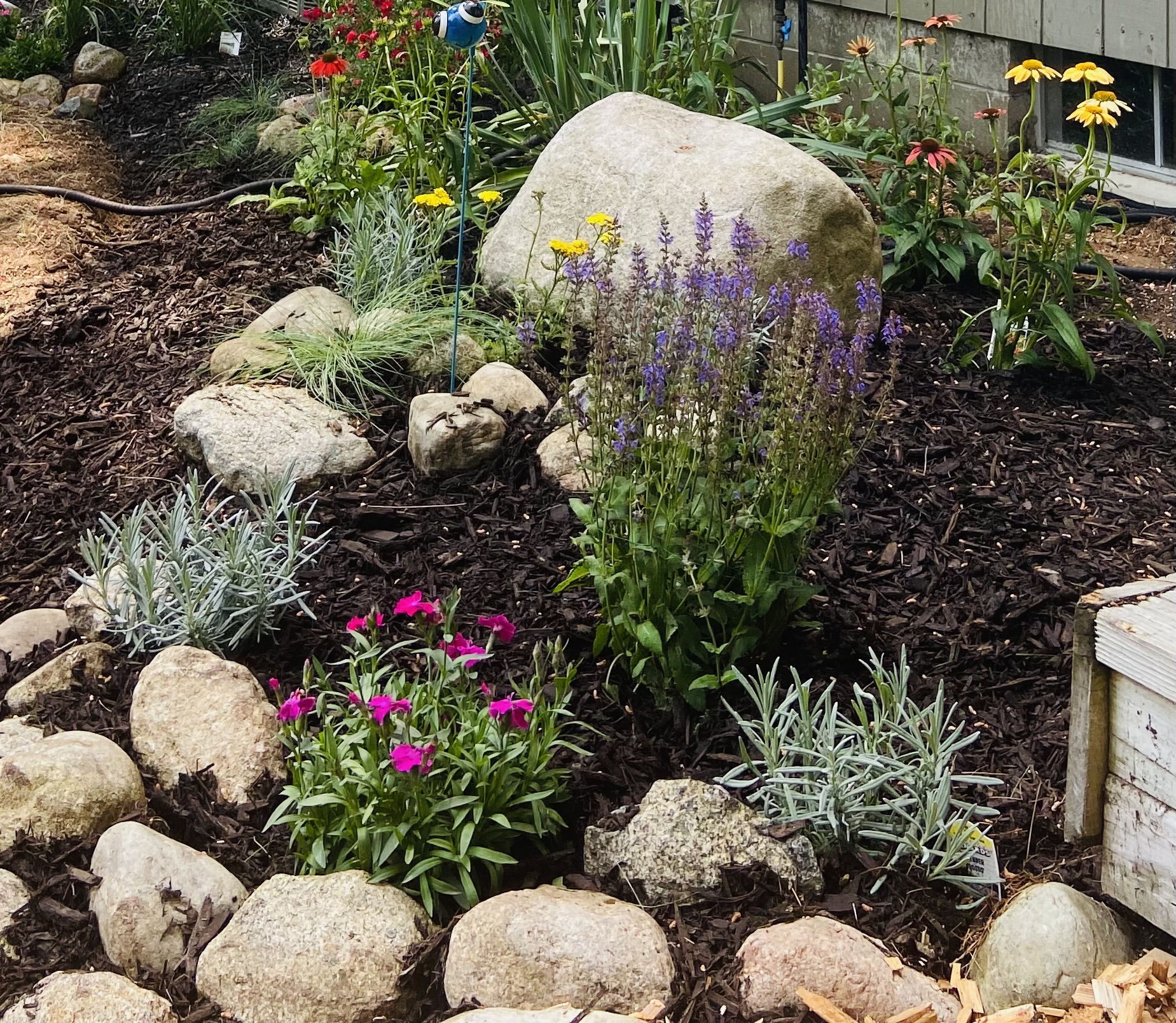 Seasonal landscape bed design