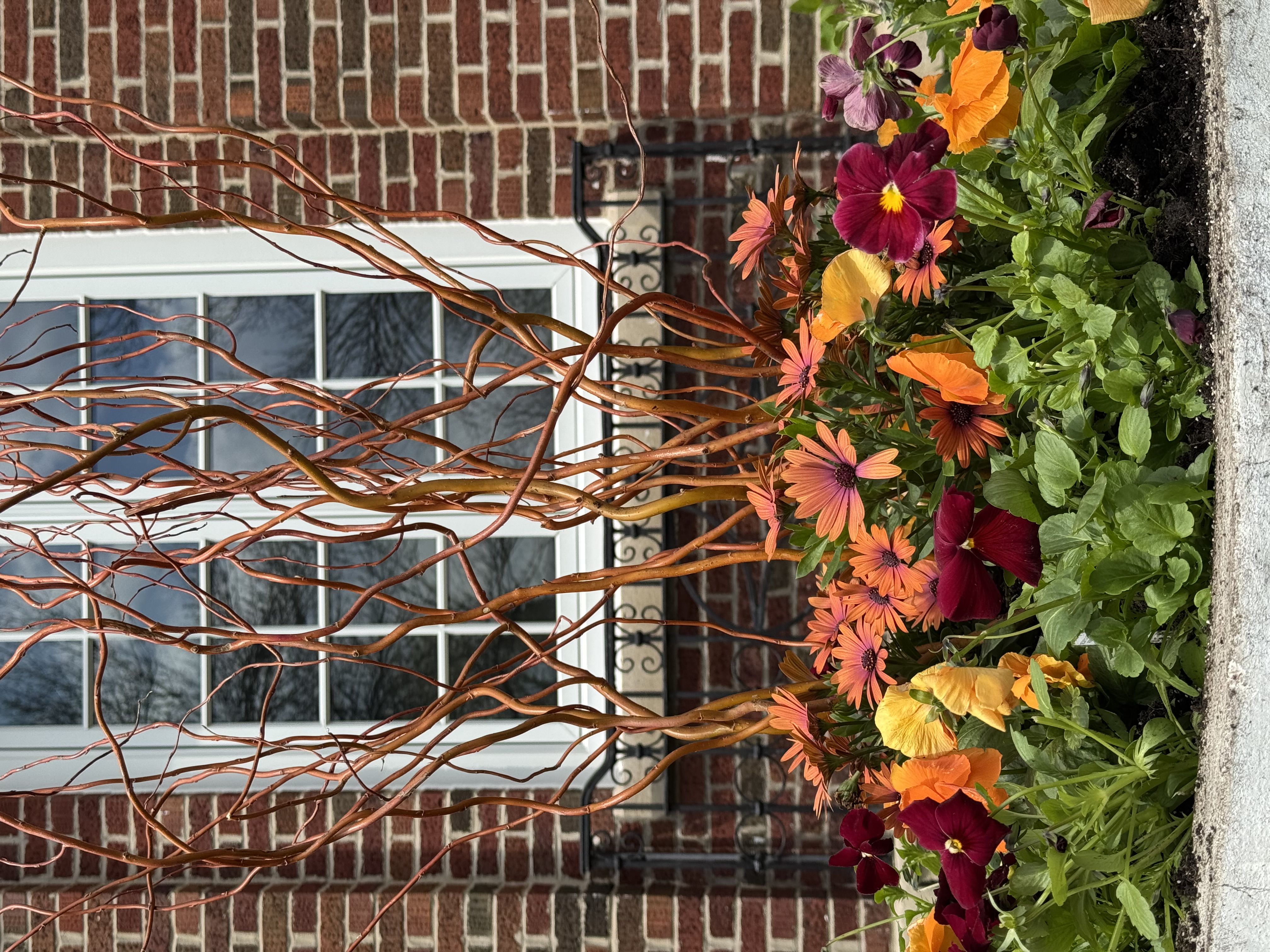 Spring seasonal container garden by Flower Fleurt