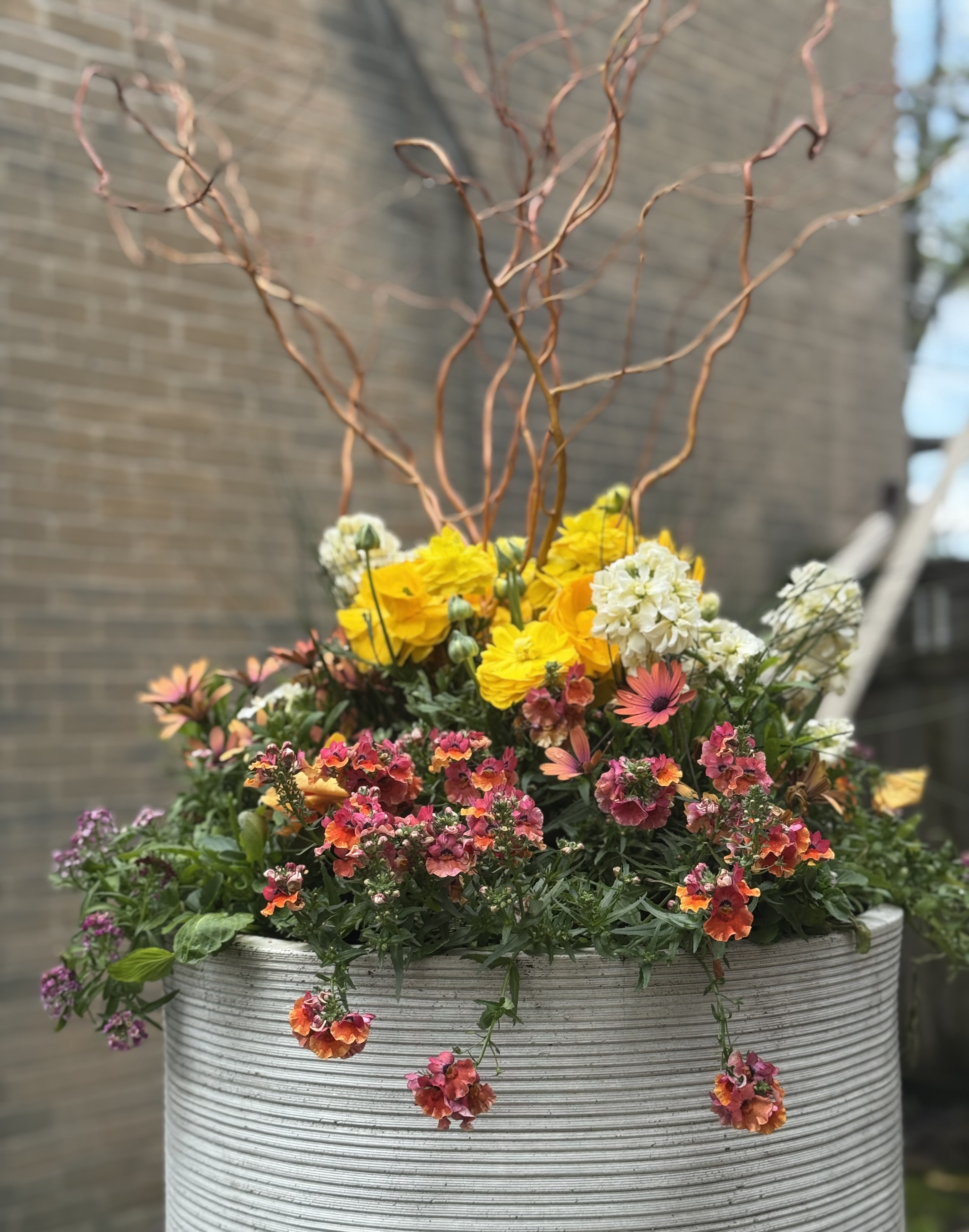 Spring porch planter with seasonal flowers