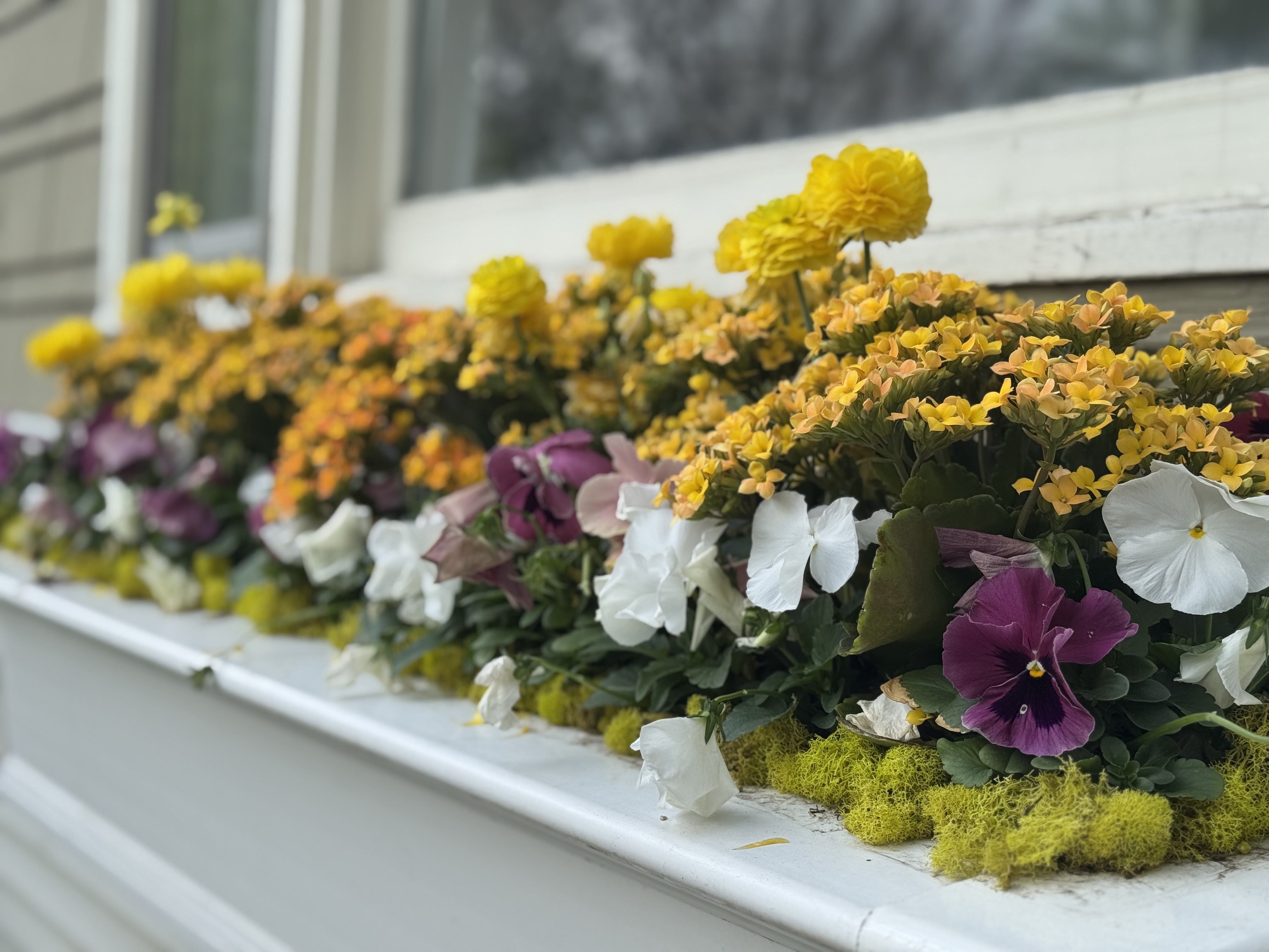 Spring seasonal arrangement