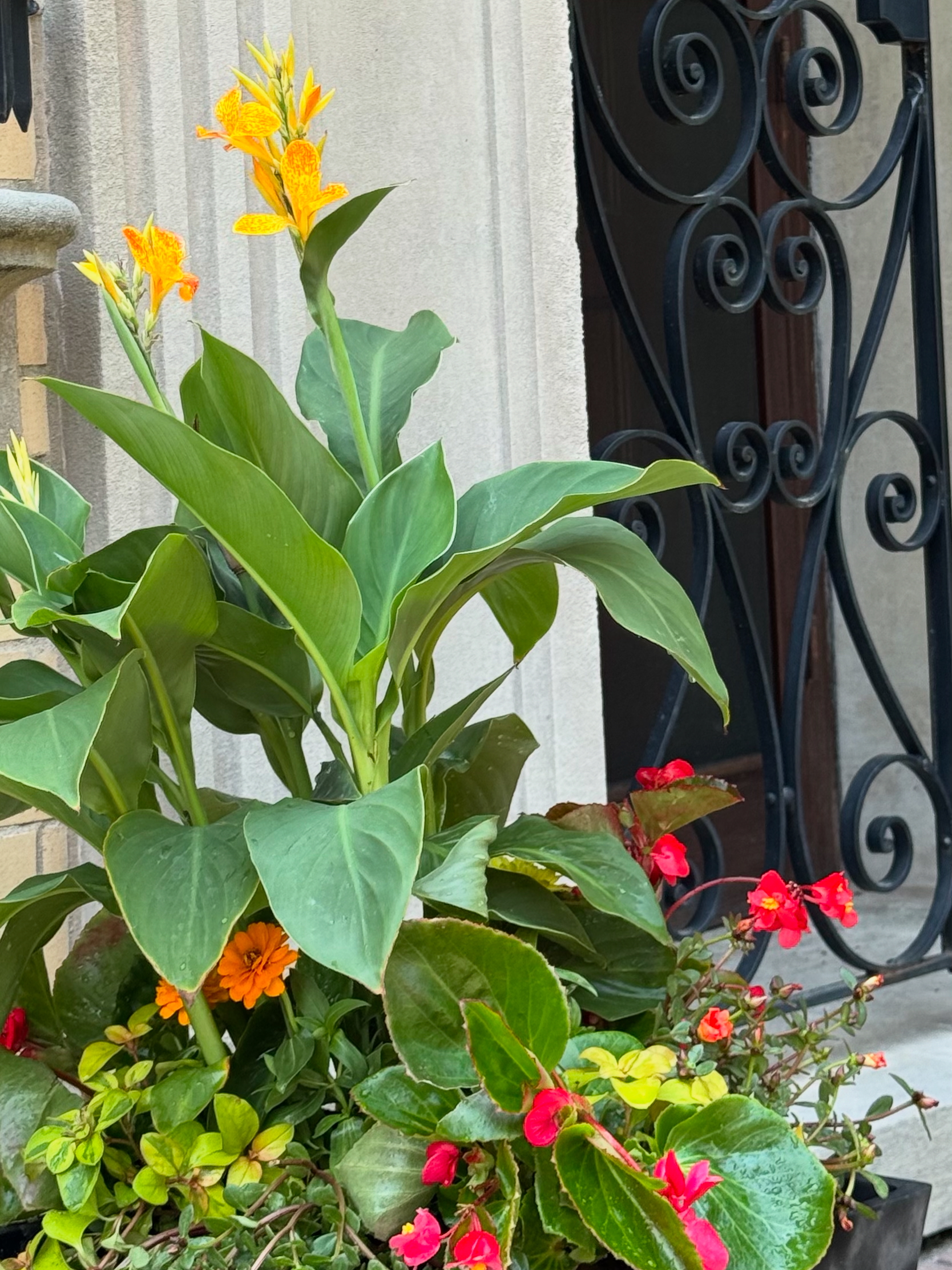 Summer porch planter with vibrant flowers