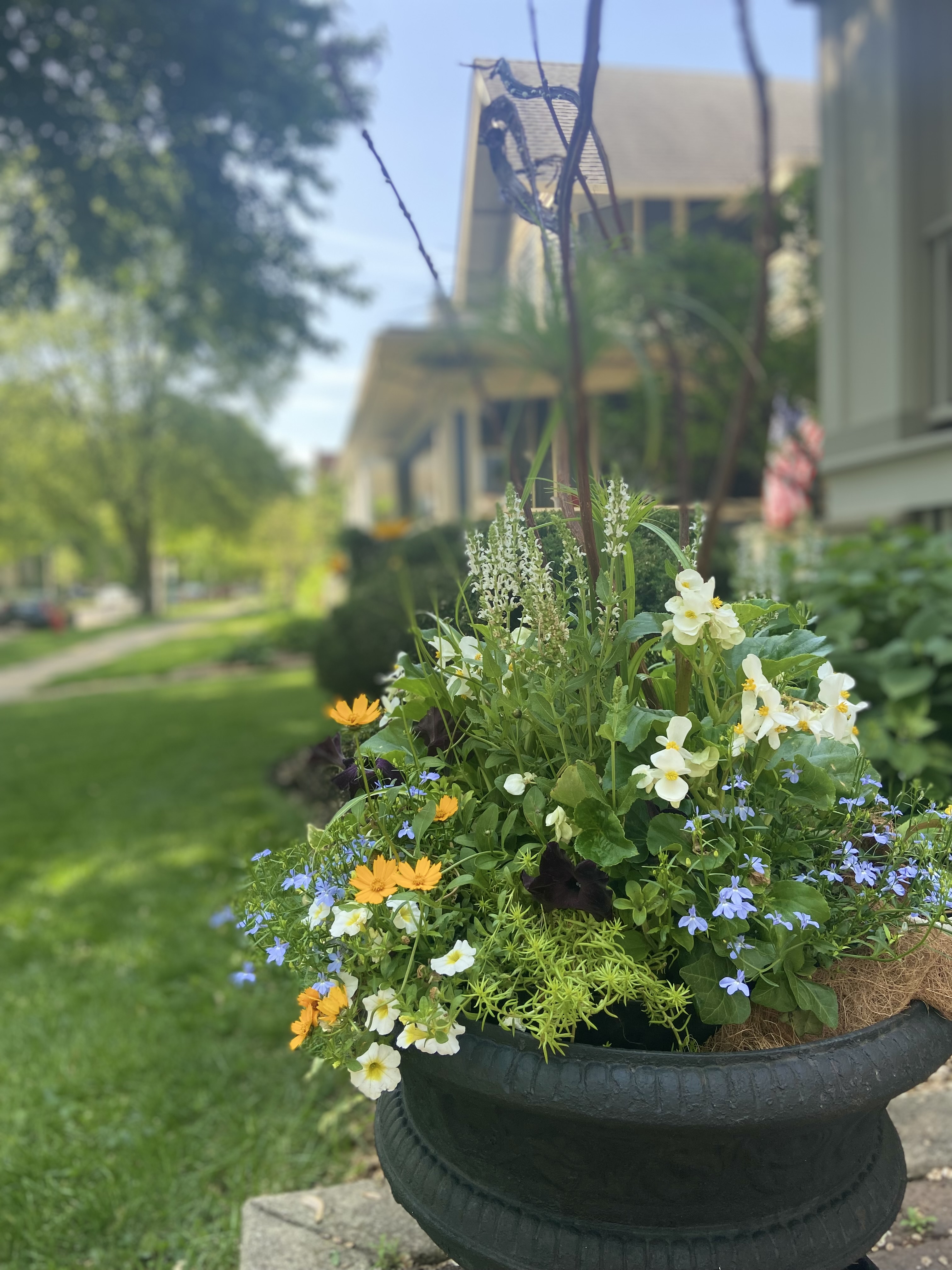 Summer floral container design