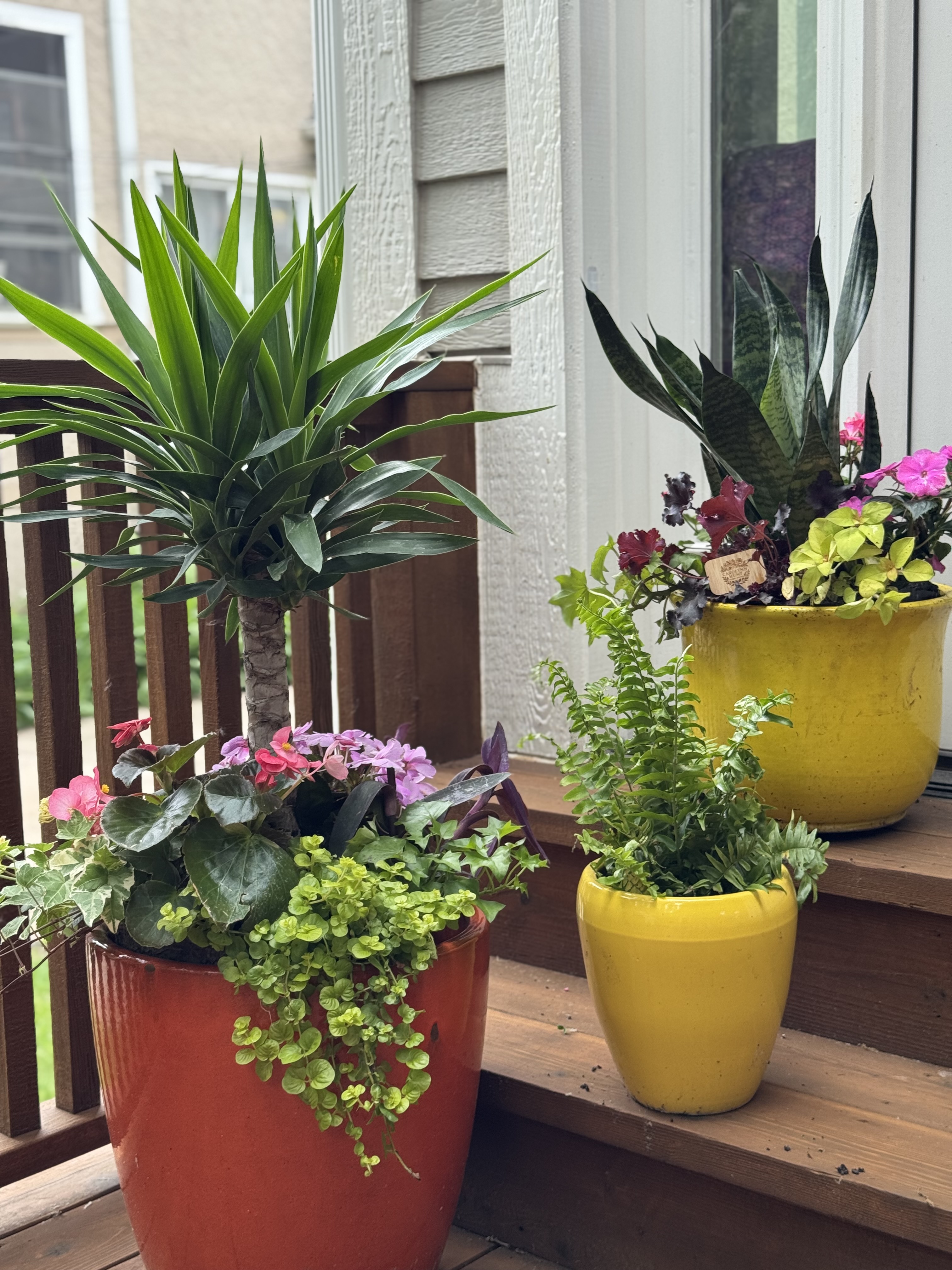 Summer seasonal arrangement