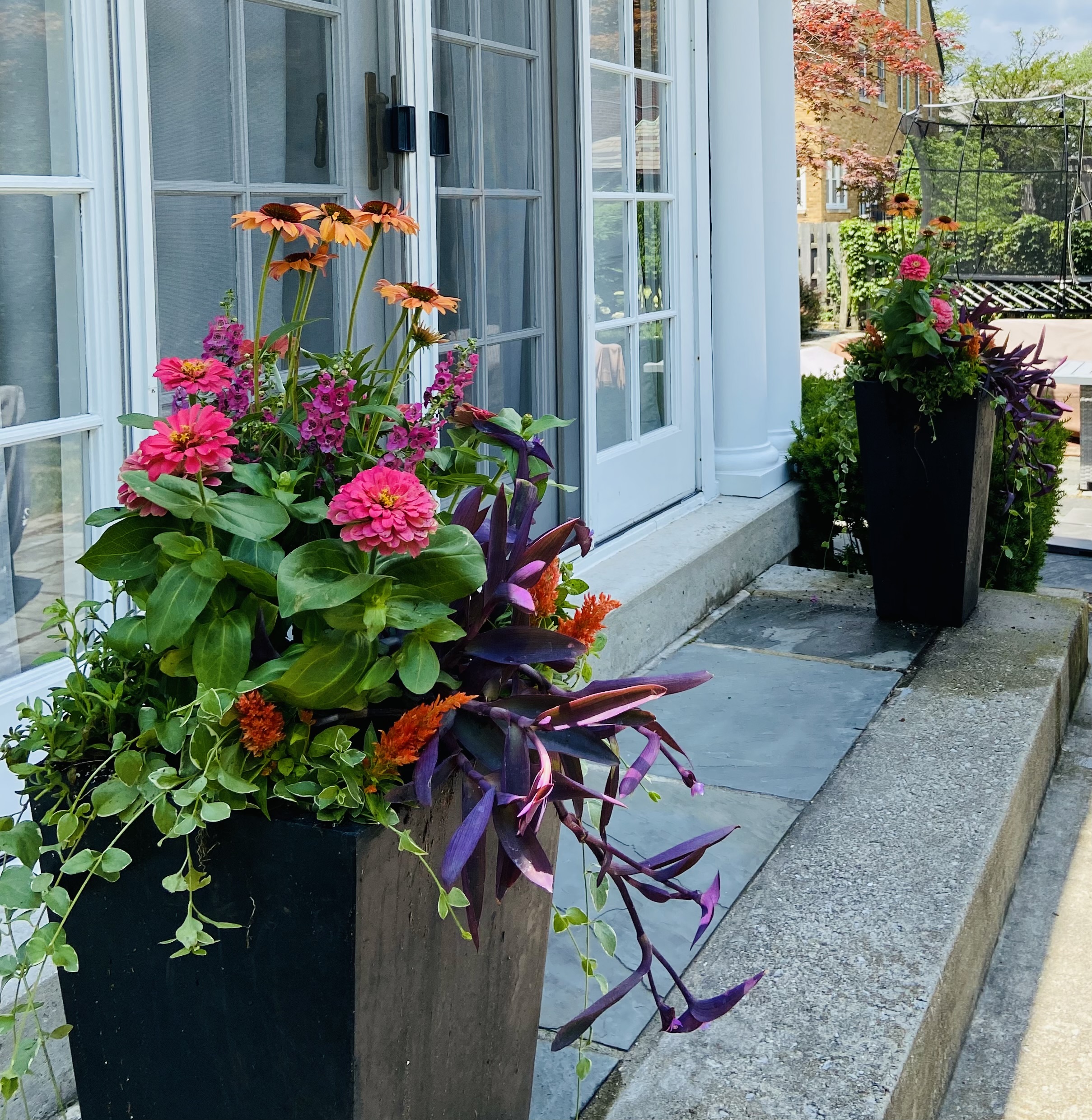 Summer container garden