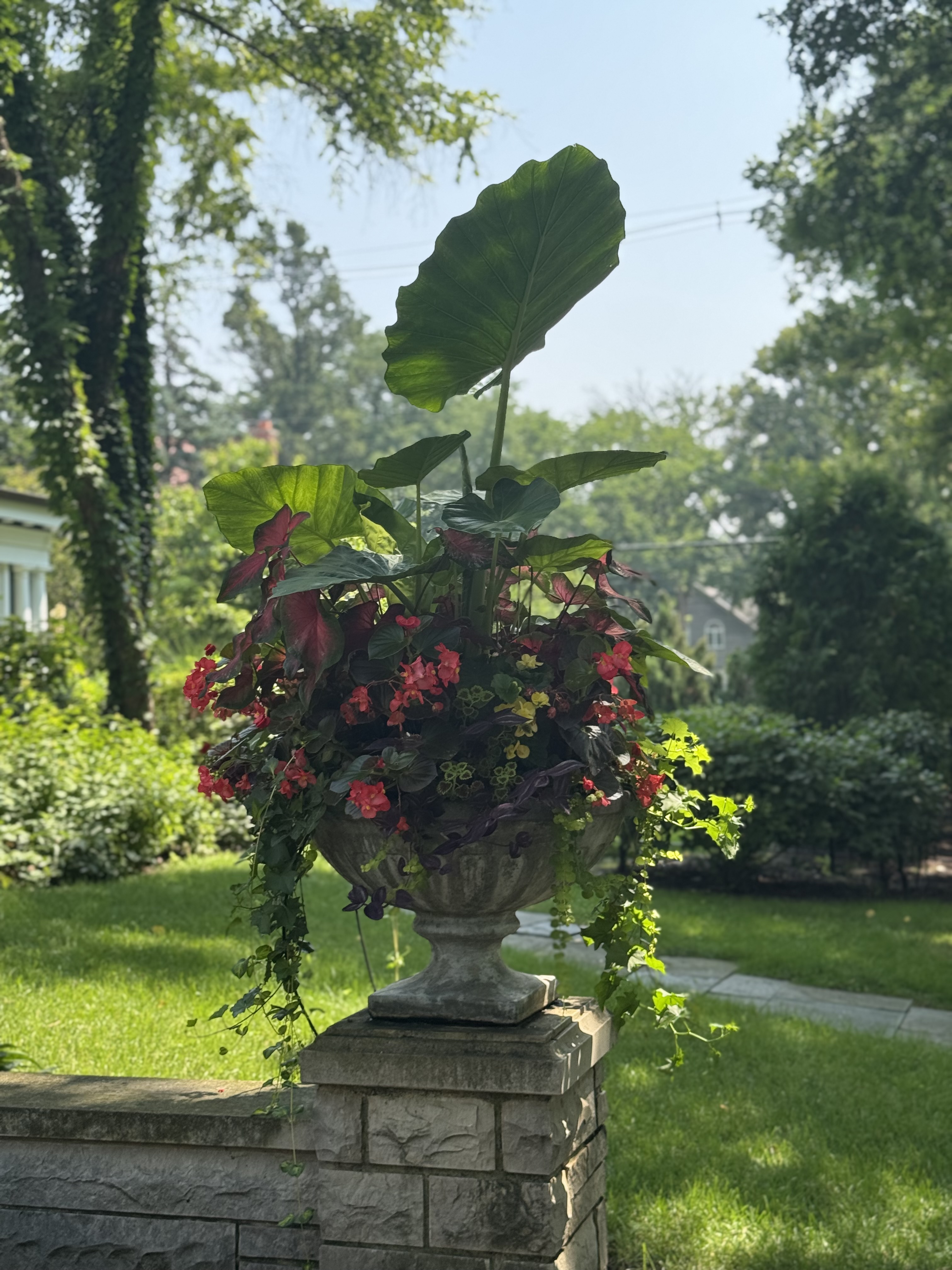 Summer seasonal planter