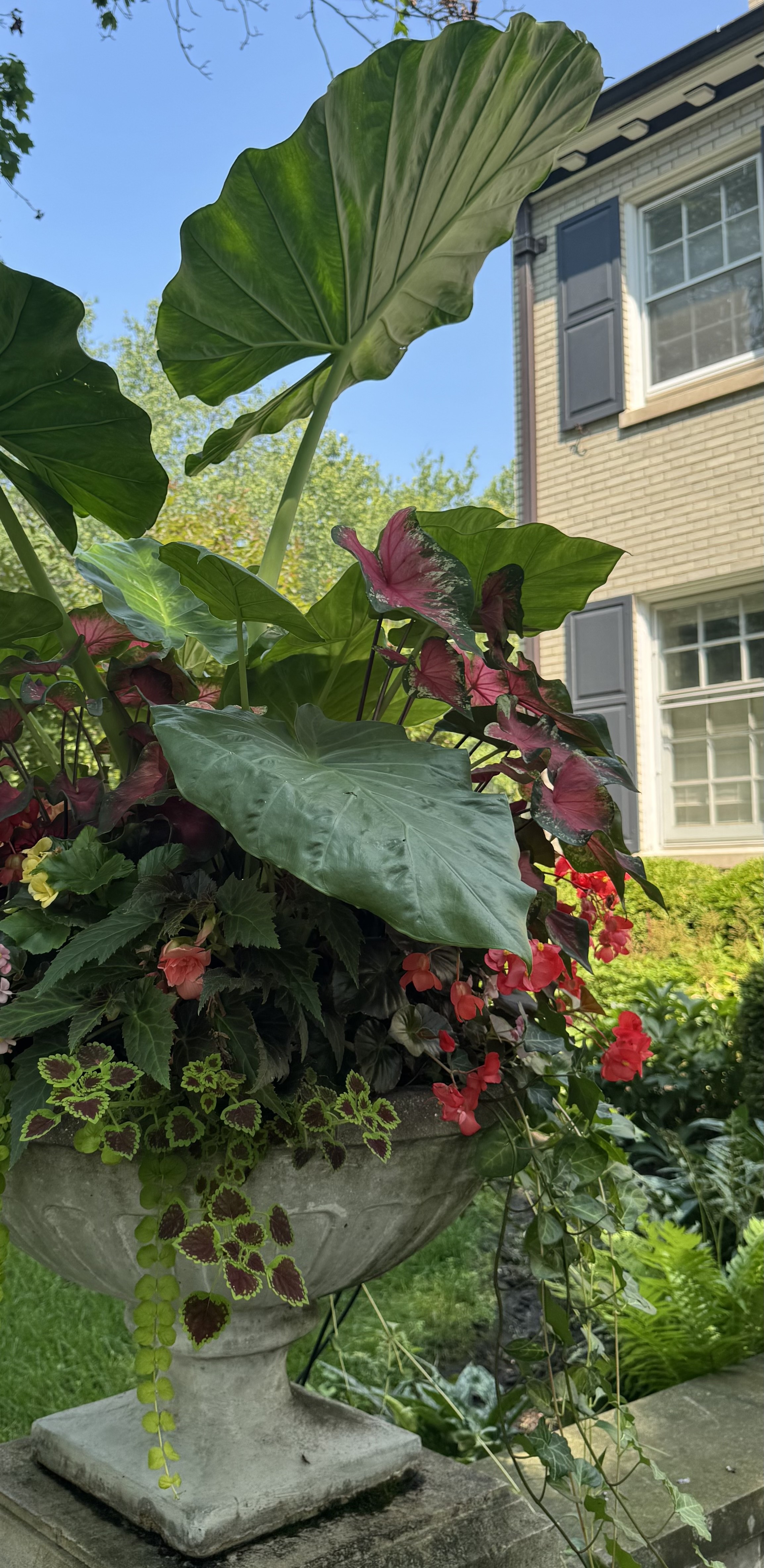 Summer floral display