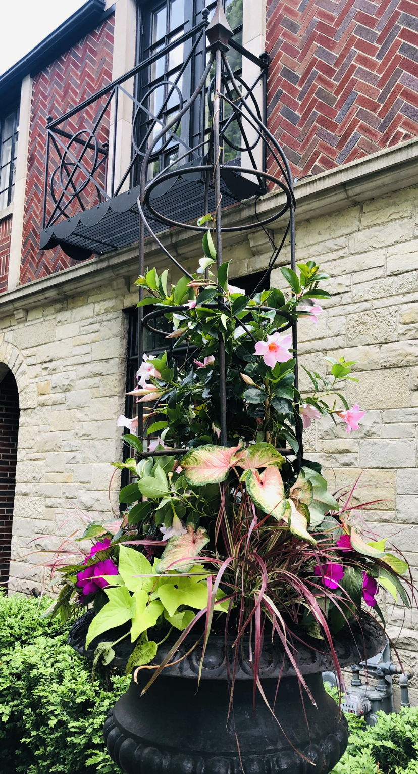 Summer garden arrangement