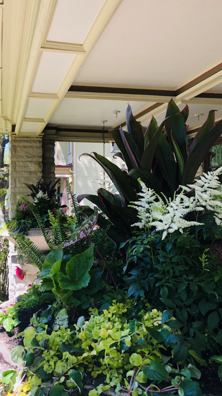 Summer seasonal design