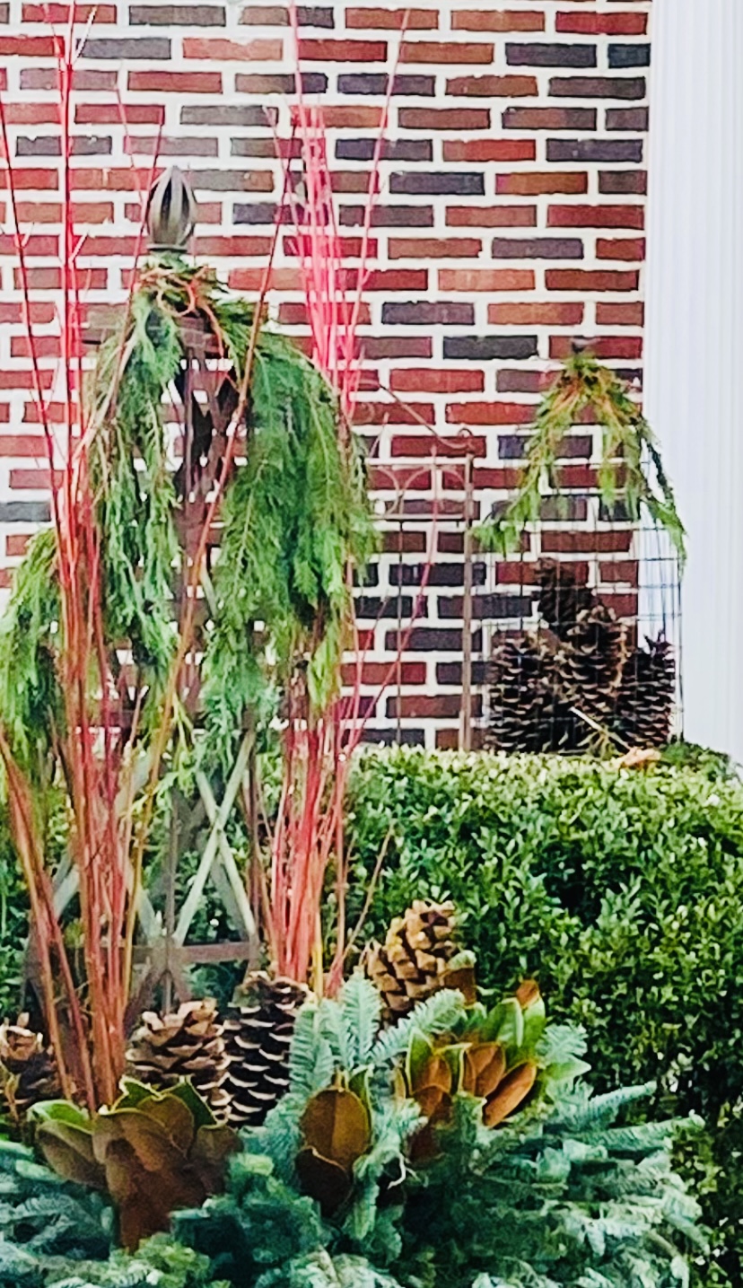 Winter floral container design