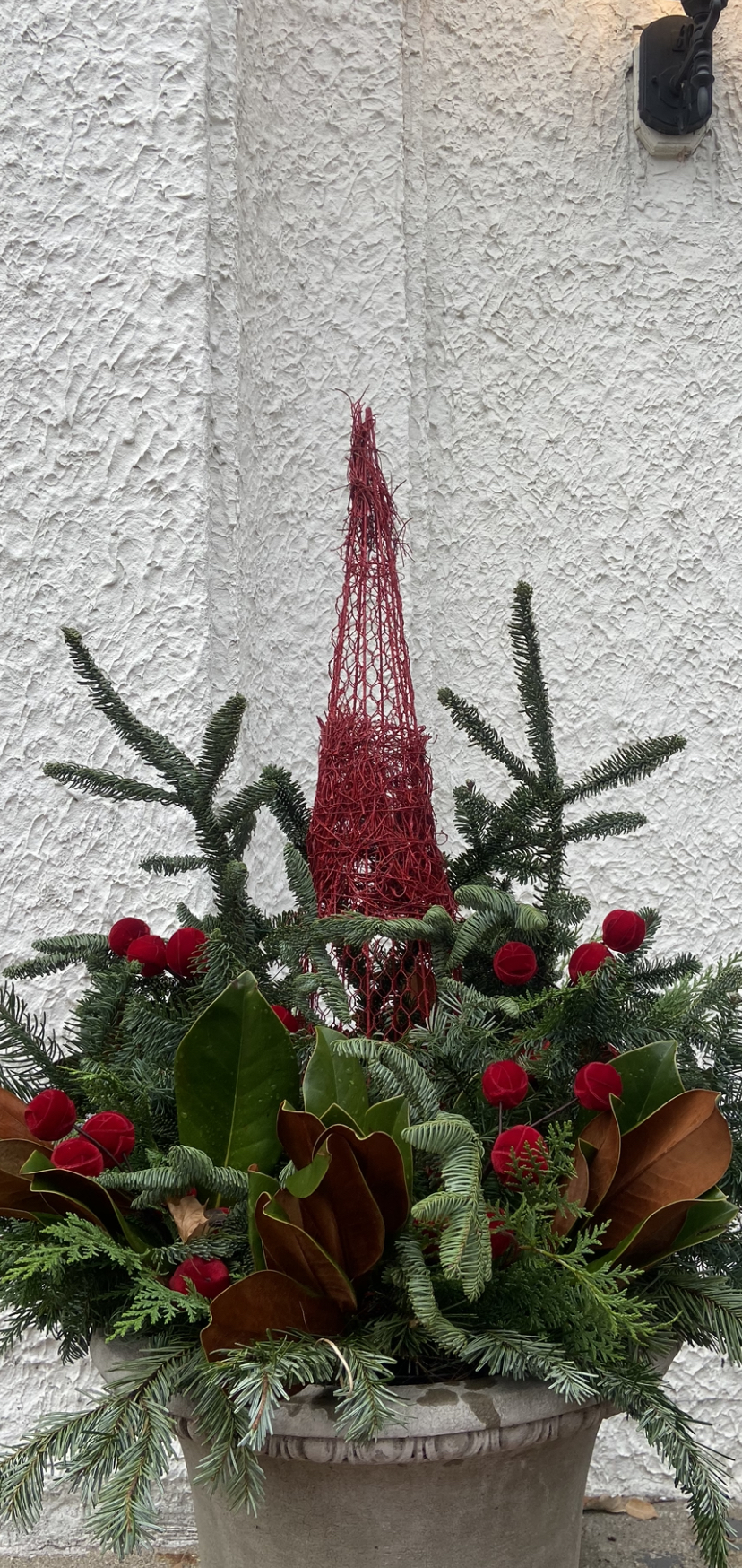 Winter floral display